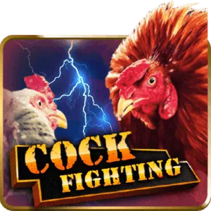 Cock Fight PHI